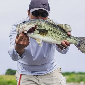 Meet your Posher, Josh